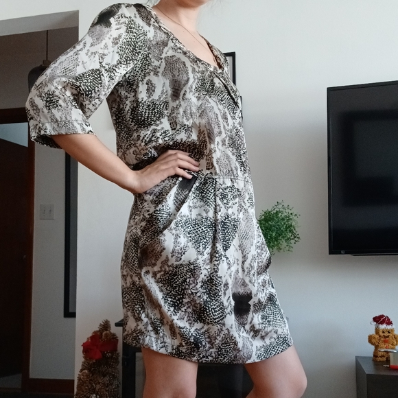 Satin Snakeskin Patterned Dress - Picture 1 of 9